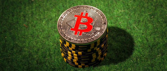 Die Besten Bitcoin Online Casinos